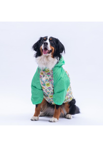 Denver Dino Yeşil Dinozor Desenli Büyük Irk Köpek Montu Köpek Yağmurluğu Köpek Kıyafeti Köpek Elbisesi