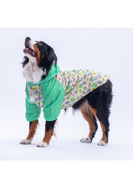 Denver Dino Yeşil Dinozor Desenli Büyük Irk Köpek Montu Köpek Yağmurluğu Köpek Kıyafeti Köpek Elbisesi modelleri