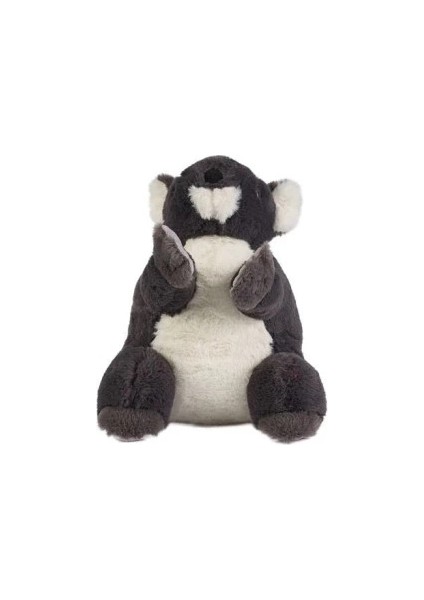 Bfs 0785 Gri Renk Koala