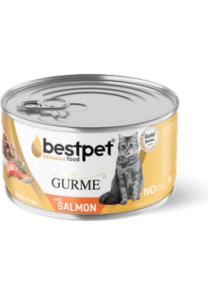 Mtxdpn Bestpet 85 gr x 24 Adet Yetişkin Kediler Için Tahılsız, Jöle Içinde Somon Balıklı Yaş Mama