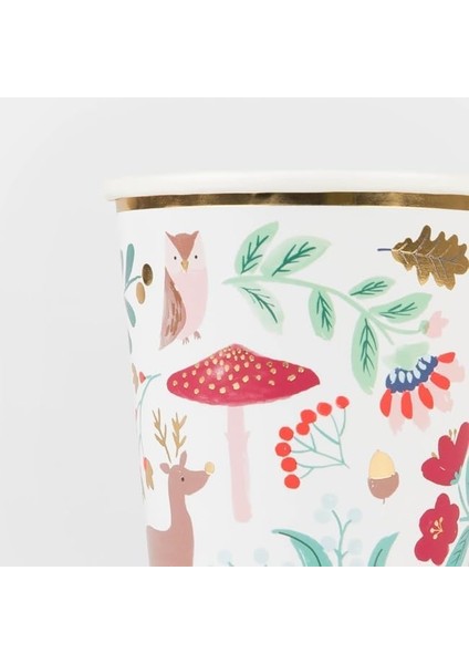 - Cups - Orman (8'li) fiyatları