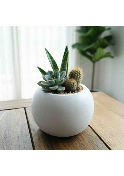 Dekoratif Minimal Kaktüs ve Sukulent Çiçek Saksısı Ev, Ofis, Balkon Dekoru.hediyelik fiyatları
