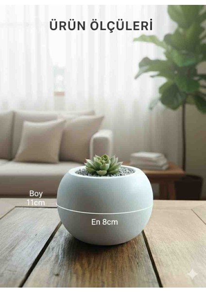 Dekoratif Minimal Kaktüs ve Sukulent Çiçek Saksısı Ev, Ofis, Balkon Dekoru.hediyelik modelleri