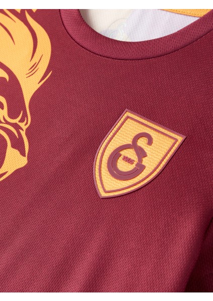Galatasaray Çocuk Eren Elmalı Design Fc T-Shirt C251271 fırsatları