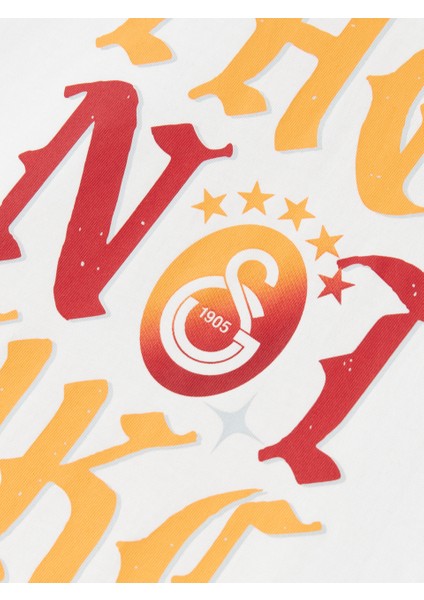 Galatasaray They Not Like Us T-Shirt E251453 fırsatları