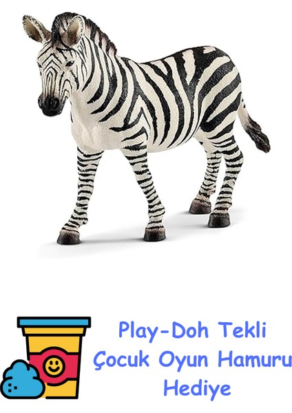 Dişi Zebra Oyuncak Figürü + Play-Doh Oyun Hamuru