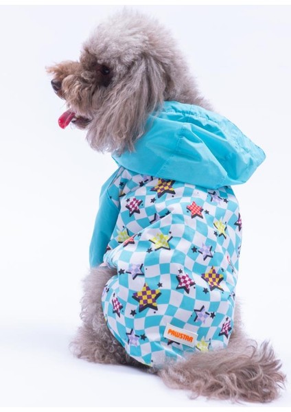 Barcelona Nights Yıldız Desenli Köpek Mont Köpek Yağmurluk Köpek Kıyafeti Köpek Elbisesi
