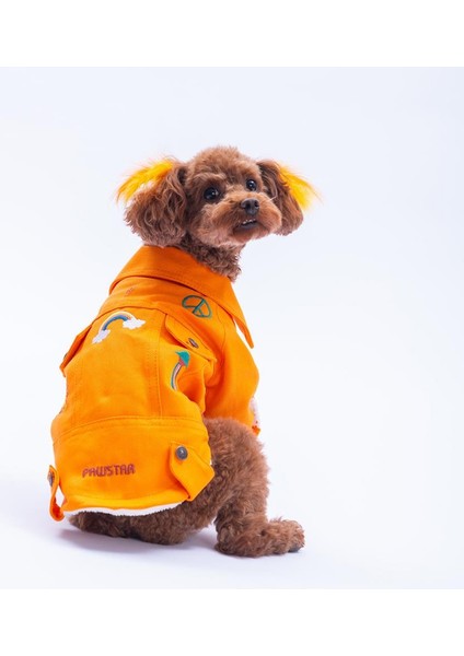 Turuncu Cancun - Cancún Ceket Gabardin Çıtçıtlı Kedi Köpek Ceketi Kedi Köpek Kıyafeti Kedi Köpek Elbisesi