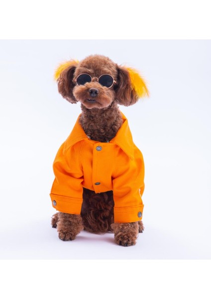 Turuncu Cancun - Cancún Ceket Gabardin Çıtçıtlı Kedi Köpek Ceketi Kedi Köpek Kıyafeti Kedi Köpek Elbisesi modelleri