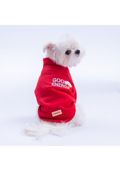 Kırmızı Seattle Storm Good Energy Nakışlı Köpek Sweati Köpek Kıyafeti Kedi Kıyafeti