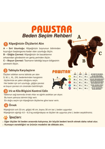 Kırmızı Seattle Storm Good Energy Nakışlı Köpek Sweati Köpek Kıyafeti Kedi Kıyafeti fiyatları