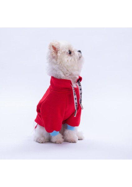 Kırmızı Seattle Storm Good Energy Nakışlı Köpek Sweati Köpek Kıyafeti Kedi Kıyafeti modelleri