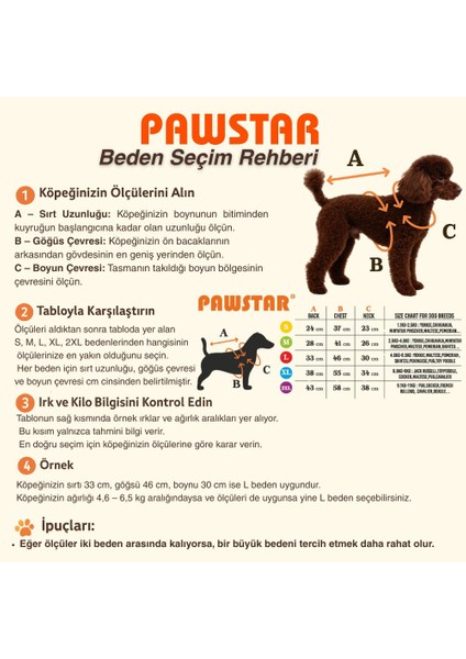 Nice Citrus Narenciye Desenli Köpek Mont Köpek Yağmurluk Köpek Kıyafeti Köpek Elbisesi indirimleri