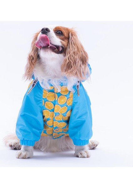 Nice Citrus Narenciye Desenli Köpek Mont Köpek Yağmurluk Köpek Kıyafeti Köpek Elbisesi modelleri