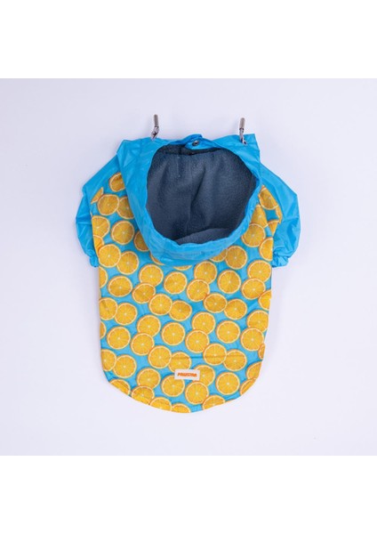 Nice Citrus Narenciye Desenli Köpek Mont Köpek Yağmurluk Köpek Kıyafeti Köpek Elbisesi fırsatları