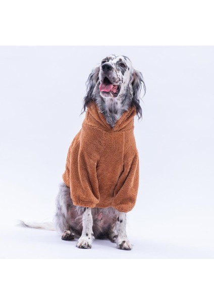 Kahverengi Lucca Teddy Hoodie Ayı Kulaklı Peluş Orta Büyük Irklar Köpek Kıyafeti Köpek Sweati modelleri
