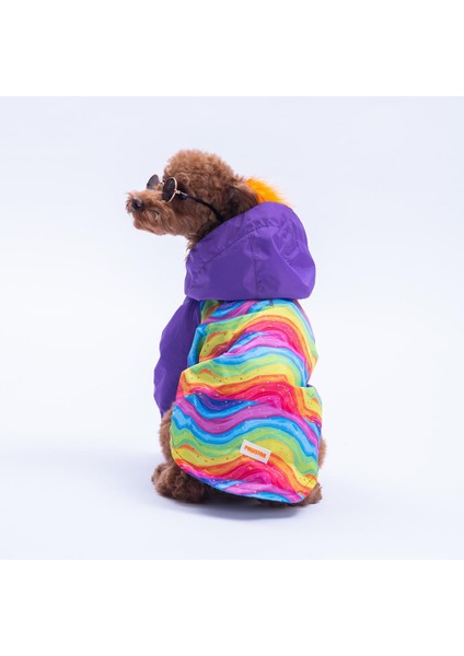 Rio Rainbow Mor Gökkuşağı Desenli Köpek Mont Köpek Yağmurluk Köpek Kıyafeti Köpek Elbisesi modelleri