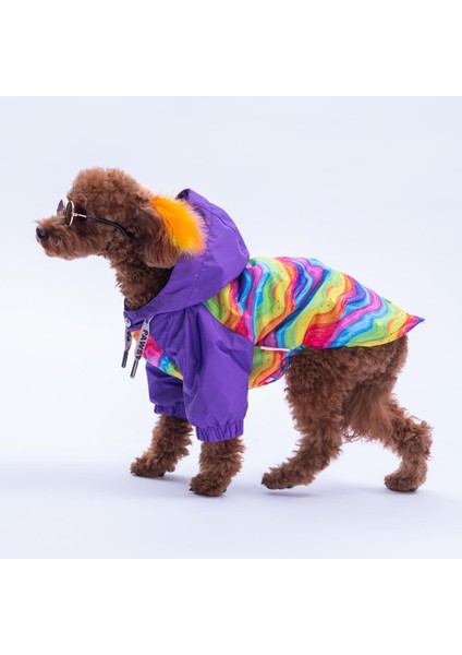 Rio Rainbow Mor Gökkuşağı Desenli Köpek Mont Köpek Yağmurluk Köpek Kıyafeti Köpek Elbisesi fırsatları