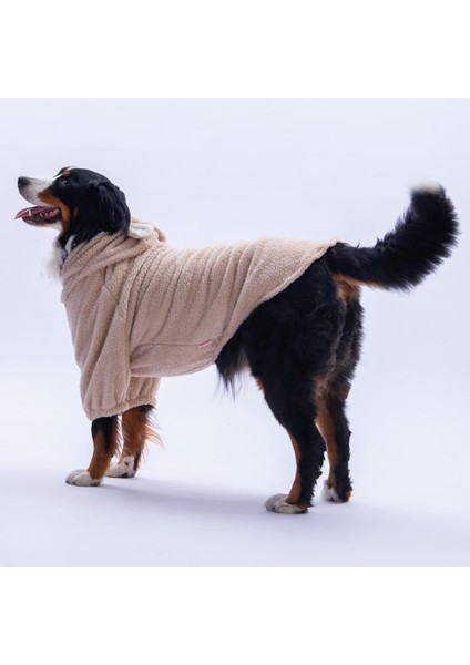 Bej Lucca Teddy Hoodie Ayı Kulaklı Peluş Orta Büyük Irklar Köpek Kıyafeti Köpek Sweati