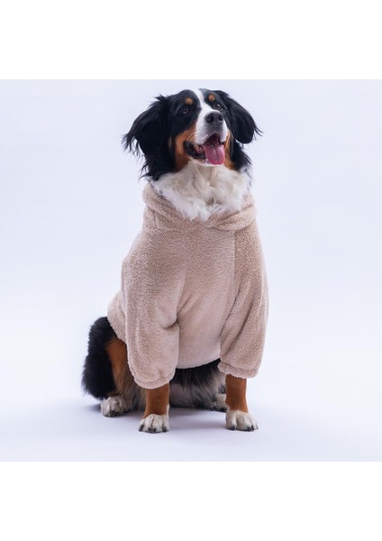 Bej Lucca Teddy Hoodie Ayı Kulaklı Peluş Orta Büyük Irklar Köpek Kıyafeti Köpek Sweati modelleri