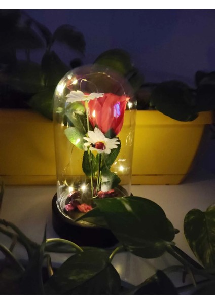 Ledli Papatya Gelincik Fanus Sevgiliye Romantik Hediyelik modelleri