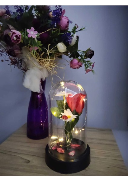 Ledli Papatya Gelincik Fanus Sevgiliye Romantik Hediyelik indirimleri