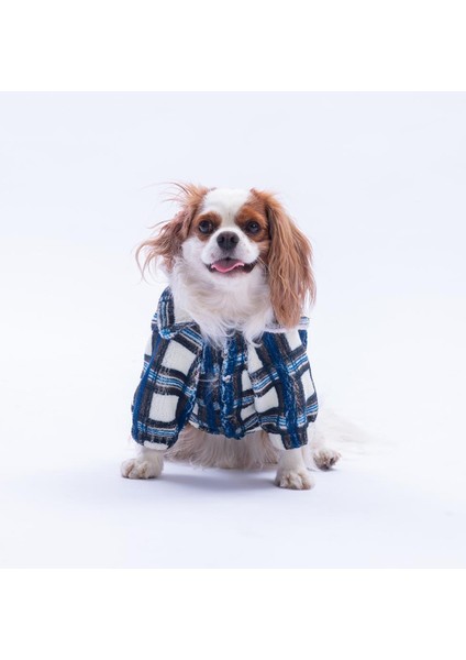 Mavi Chicago Checks Ekose Desenli Düğmeli Köpek Ceketi Kalın Peluş Köpek Kıyafeti Kedi Kıyafeti fırsatları