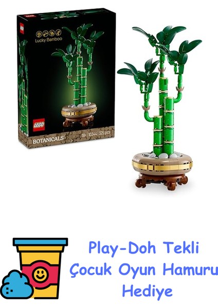 Botanicals Şans Bambusu 10344 – Yetişkin Kadın ve Erkekler Için Bambu Sapları, Çakıl Taşları ve Ahşap Efektli Saksı Içeren Dekoratif Bitki Seti, Ev ve Ofis Dekora + Play-Doh Oyun Hamuru