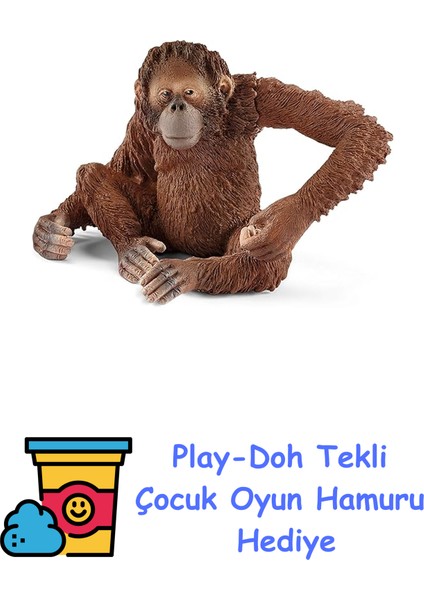 14775 – Orang-Utan Şekli Figür + Play-Doh Oyun Hamuru
