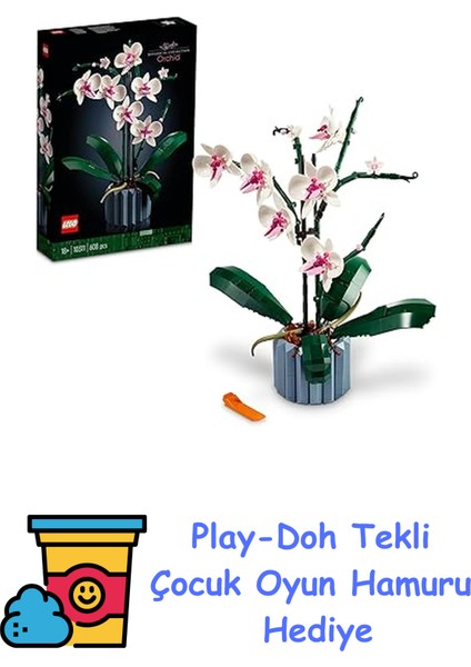 Icons Orkide 10311 - Yetişkinler Için Dekoratif, Koleksiyonluk ve Sergilenebilir Çiçek Modeli Yapım Seti (608 Parça) + Play-Doh Oyun Hamuru