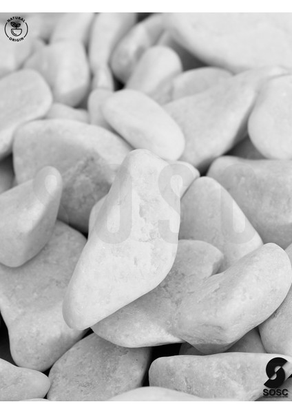 Sosc Natural Beyaz Dolomit Dekoratif Çakıl Taşı, Iç ve Dış Mekan Peyzaj Için, 2-4 Cm, 1 Kg, Bahçe Saksı Süsü