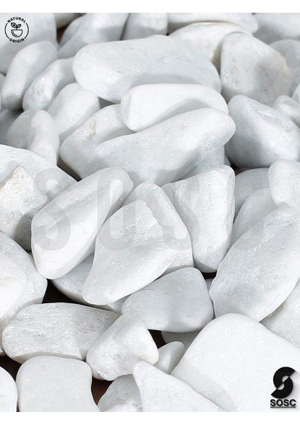 Sosc Natural Beyaz Dolomit Dekoratif Çakıl Taşı, Iç ve Dış Mekan Peyzaj Için, 2-4 Cm, 1 Kg, Bahçe Saksı Süsü fiyatları