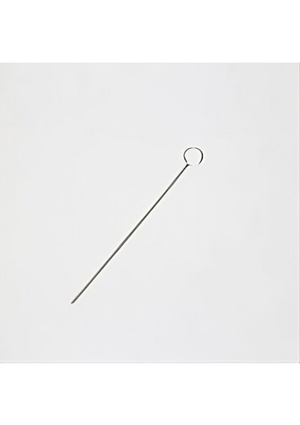 Öze Ucu Halka – Mikrobiyoloji ve Laboratuvar Kullanımı Için Krom Nikel Inkülasyon Öze Ucu