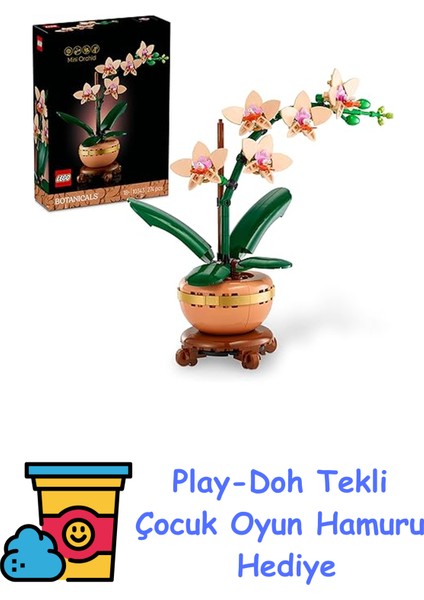 Botanicals Mini Orkide 10343 – Açık Renkli Terakota Saksı ve Ahşap Efektli Kaide Içeren Yetişkin Kadın ve Erkekler Için Dekoratif Çiçek Yapım Seti, Ev ve Ofis Dek + Play-Doh Oyun Hamuru