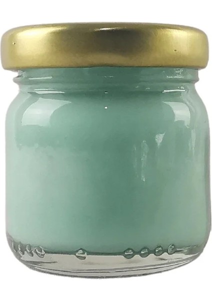 Seramik ve Çini Boyası 40 Cc. 8823 Iznik Turkuaz