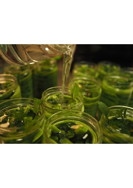 Fasulye Turşusu 400GR fiyatları