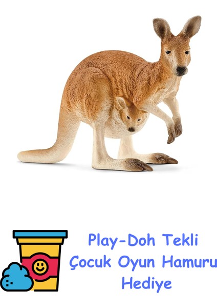 14756 – Okuyan Kanguru, Çok Renkli + Play-Doh Oyun Hamuru