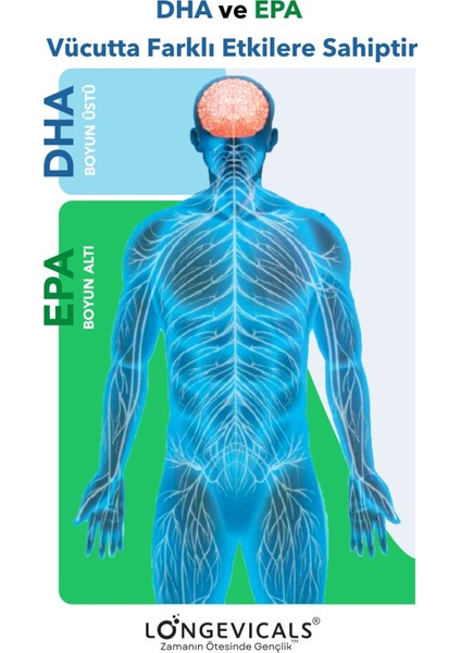 Nua EPA 1200 Omega-3 İçeren Gıda Takviyesi 30 Kapsül modelleri
