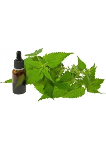 Isırgan Tohumu Yağı 20 ml