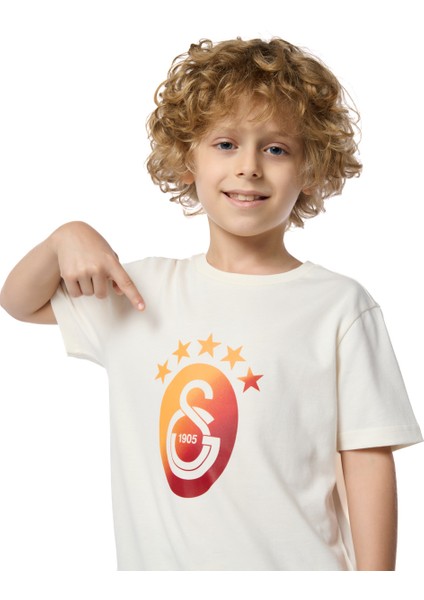 Galatasaray Degrade 5 Yıldız Çocuk T-Shirt C251394 fiyatları