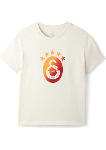 Galatasaray Degrade 5 Yıldız Çocuk T-Shirt C251394 modelleri