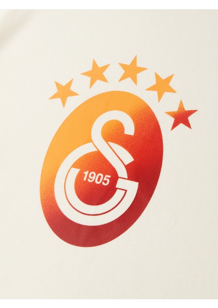 Galatasaray Degrade 5 Yıldız Çocuk T-Shirt C251394