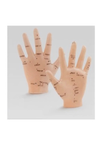 Enerji Akışı El Maketi fiyatları