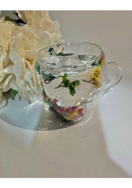 Kapibaralı Hediye Kutusu fiyatları