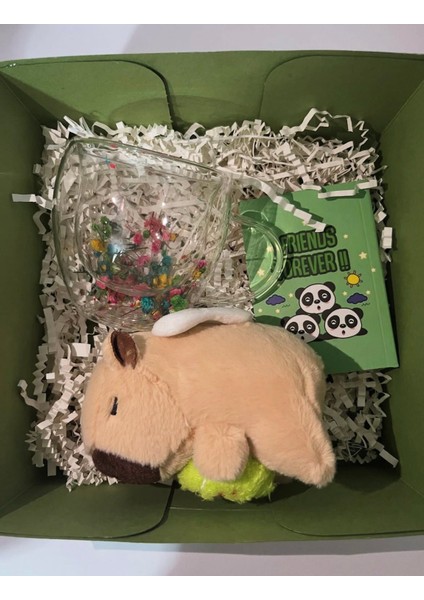 Kapibaralı Hediye Kutusu modelleri