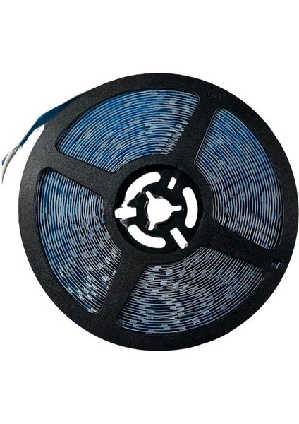 WS2815B 60 Ledli Argb S Type 12V Tek Tek Adreslenebilir Pixel Şerit LED Magic LED 1m