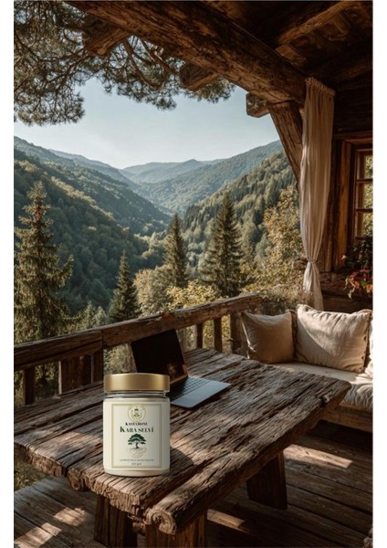 Kastamonu Soymuk Özlü Yalamuk Macunu 3 x 420 gr indirimleri