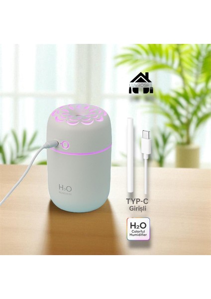 YEN TYPE-C GİRİŞLİ H2o Çiçek Desenli +1 Flitre Hediyeli Hava Nemlendicirisi LTB IŞIKLI Ortam hava Yumusatıcı humudifier Hava Nemlendirici buhar makinası 250 ml