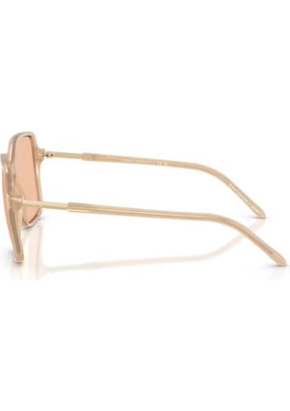 Ax 4163S 836673 53 Kadın Güneş Gözlüğü fiyatları