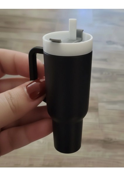 Stanly Termos Anahtarlık Lip Balm Kutusu